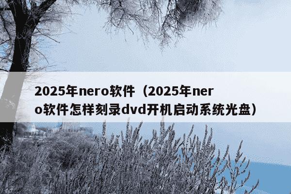 2025年nero软件（2025年nero软件怎样刻录dvd开机启动系统光盘）