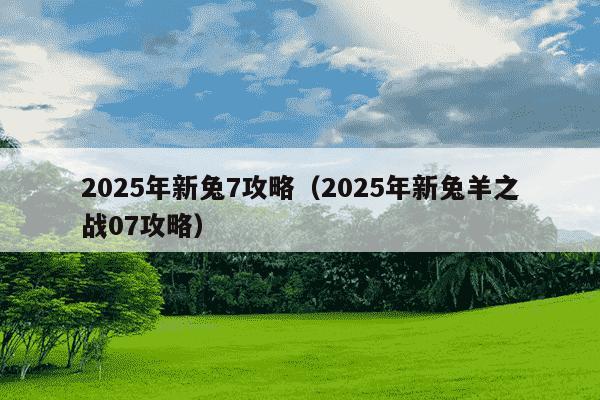 2025年新兔7攻略(2025年新兔羊之战07攻略)