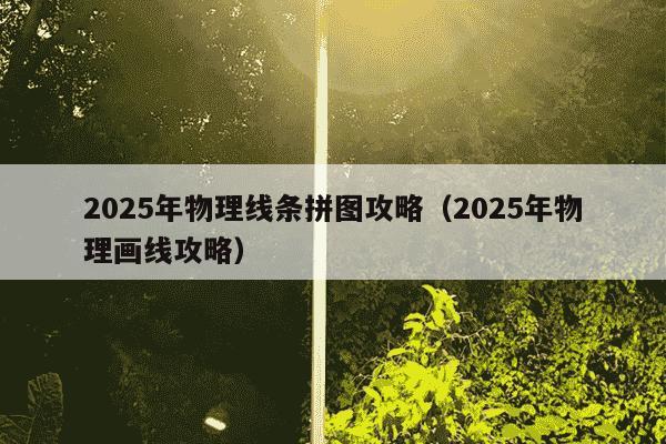 2025年物理线条拼图攻略（2025年物理画线攻略）
