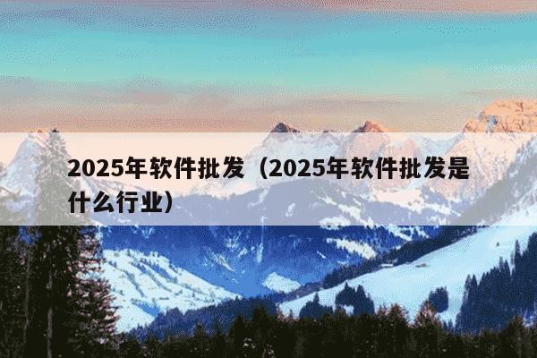 2025年软件批发(2025年软件批发是什么行业)