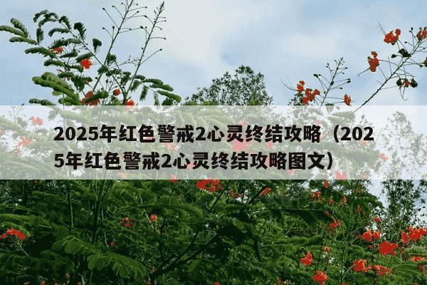2025年红色警戒2心灵终结攻略(2025年红色警戒2心灵终结攻略图文)