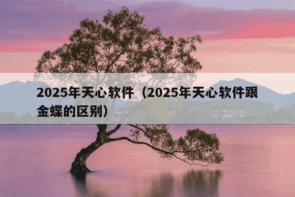 2025年天心软件(2025年天心软件跟金蝶的区别)