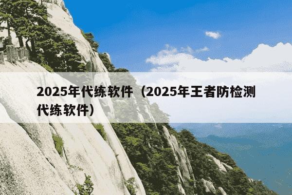 2025年代练软件（2025年王者防检测代练软件）