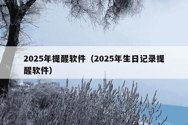2025年提醒软件（2025年生日记录提醒软件）