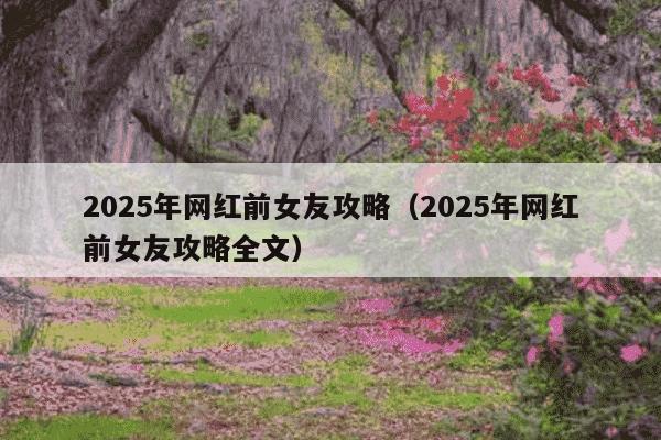 2025年网红前女友攻略（2025年网红前女友攻略全文）