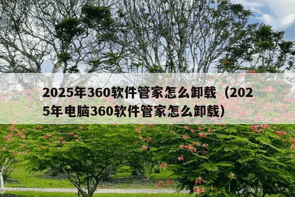 2025年360软件管家怎么卸载（2025年电脑360软件管家怎么卸载）
