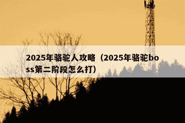 2025年骆驼人攻略（2025年骆驼boss第二阶段怎么打）
