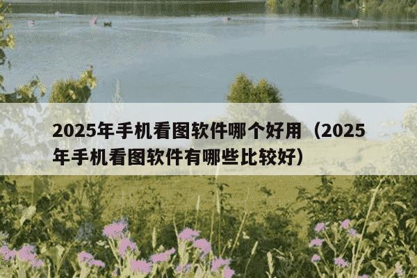 2025年手机看图软件哪个好用(2025年手机看图软件有哪些比较好)