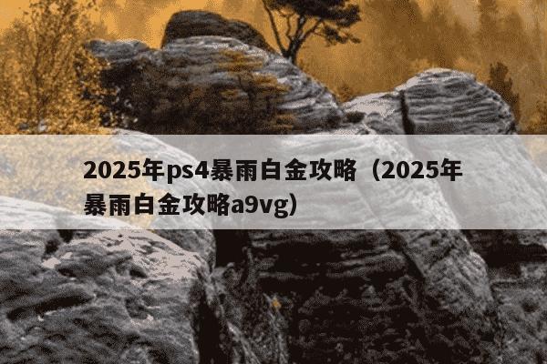 2025年ps4暴雨白金攻略（2025年暴雨白金攻略a9vg）