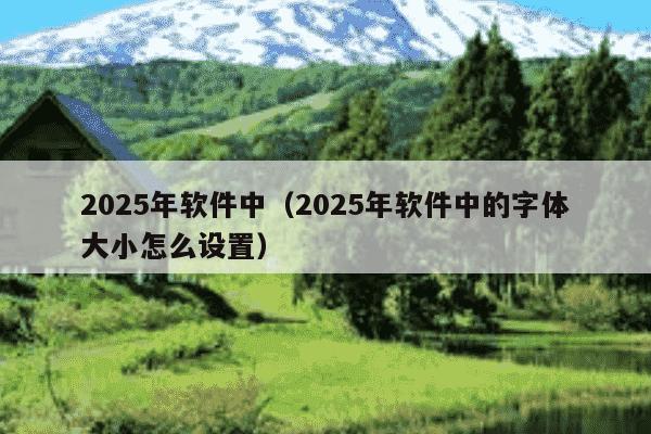 2025年软件中(2025年软件中的字体大小怎么设置)