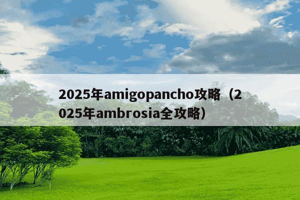 2025年amigopancho攻略（2025年ambrosia全攻略）