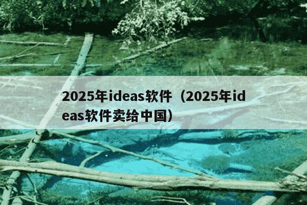 2025年ideas软件(2025年ideas软件卖给中国)