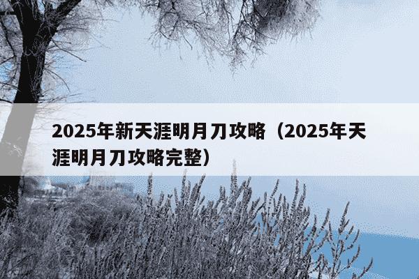 2025年新天涯明月刀攻略(2025年天涯明月刀攻略完整)