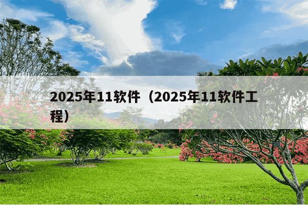 2025年11软件(2025年11软件工程)