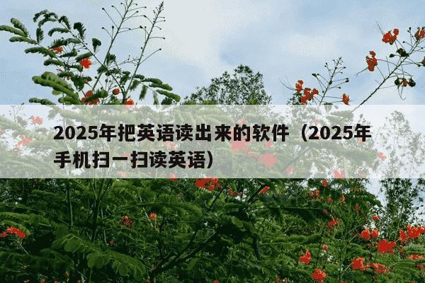 2025年把英语读出来的软件(2025年手机扫一扫读英语)
