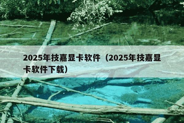 2025年技嘉显卡软件(2025年技嘉显卡软件下载)