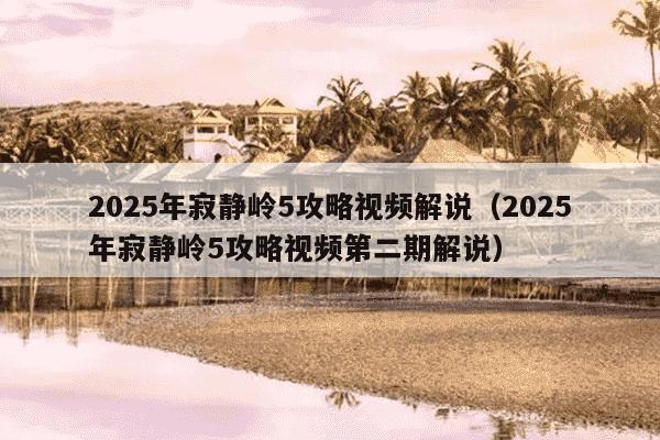 2025年寂静岭5攻略视频解说（2025年寂静岭5攻略视频第二期解说）