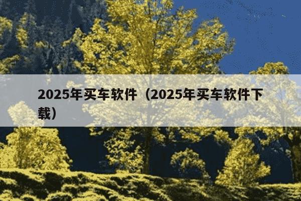 2025年买车软件（2025年买车软件下载）
