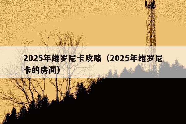 2025年维罗尼卡攻略(2025年维罗尼卡的房间)