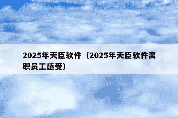 2025年天臣软件（2025年天臣软件离职员工感受）