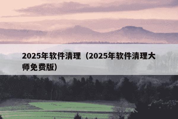 2025年软件清理(2025年软件清理大师免费版)