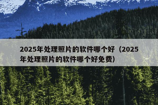 2025年处理照片的软件哪个好(2025年处理照片的软件哪个好免费)