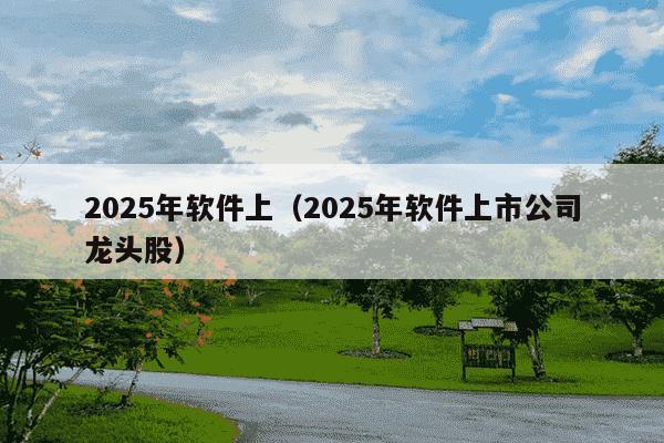 2025年软件上（2025年软件上市公司龙头股）