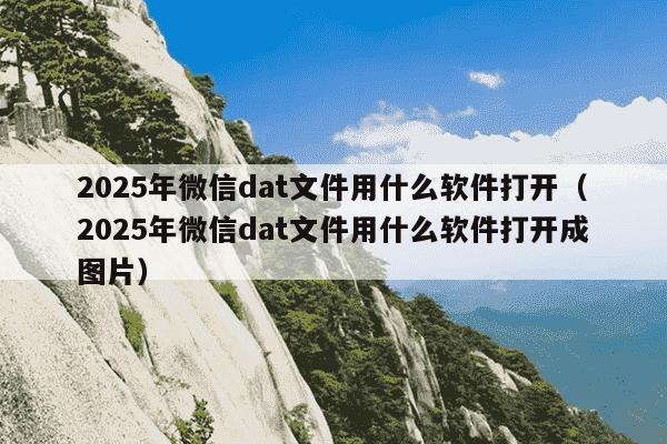 2025年微信dat文件用什么软件打开（2025年微信dat文件用什么软件打开成图片）