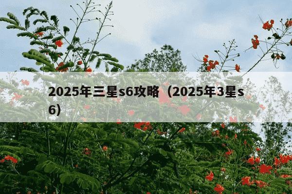 2025年三星s6攻略（2025年3星s6）