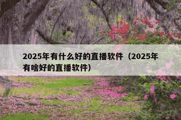 2025年有什么好的直播软件(2025年有啥好的直播软件)