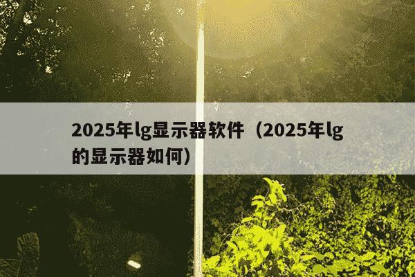 2025年lg显示器软件(2025年lg的显示器如何)