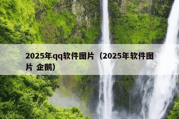 2025年qq软件图片（2025年软件图片 企鹅）
