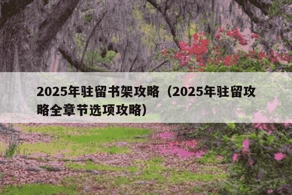 2025年驻留书架攻略(2025年驻留攻略全章节选项攻略)