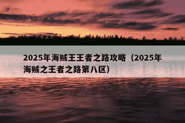 2025年海贼王王者之路攻略（2025年海贼之王者之路第八区）