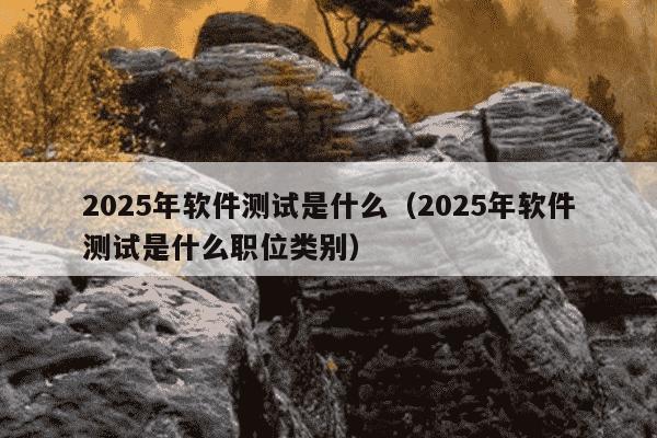 2025年软件测试是什么（2025年软件测试是什么职位类别）