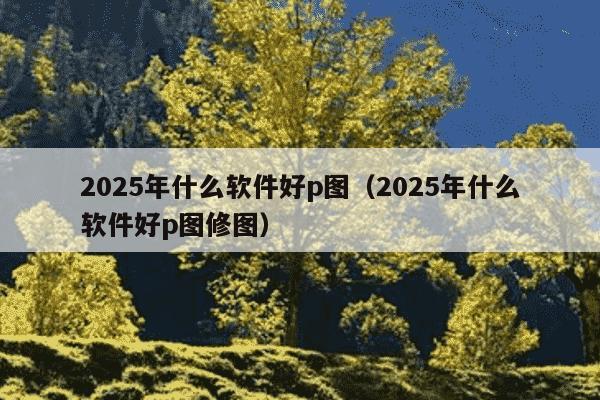 2025年什么软件好p图（2025年什么软件好p图修图）