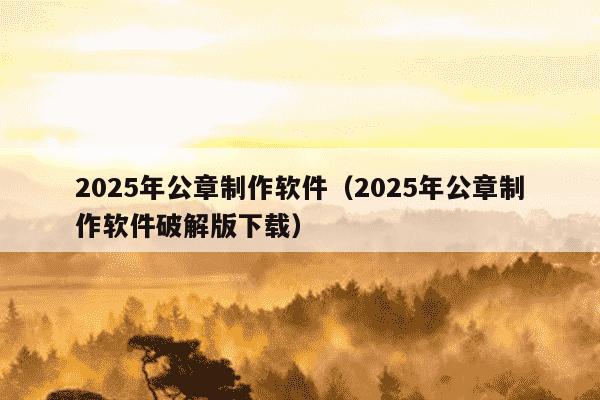 2025年公章制作软件（2025年公章制作软件破解版下载）
