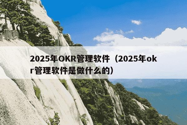 2025年OKR管理软件(2025年okr管理软件是做什么的)