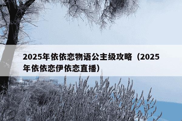2025年依依恋物语公主级攻略（2025年依依恋伊依恋直播）