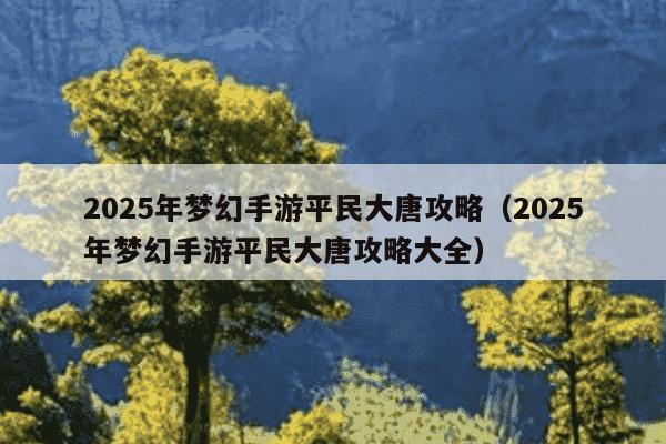 2025年梦幻手游平民大唐攻略（2025年梦幻手游平民大唐攻略大全）