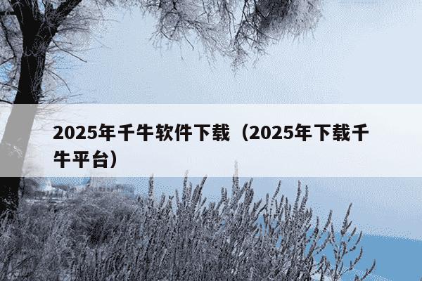2025年千牛软件下载(2025年下载千牛平台)