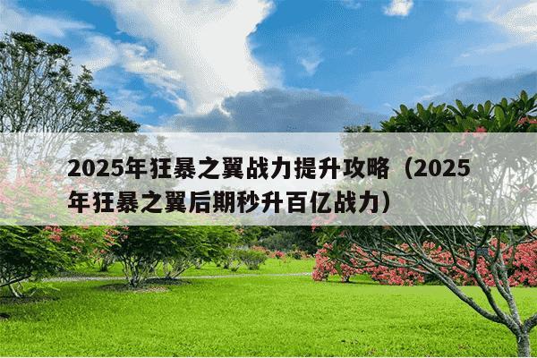 2025年狂暴之翼战力提升攻略(2025年狂暴之翼后期秒升百亿战力)