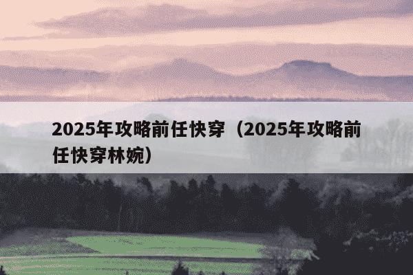 2025年攻略前任快穿(2025年攻略前任快穿林婉)