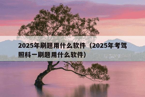 2025年刷题用什么软件(2025年考驾照科一刷题用什么软件)