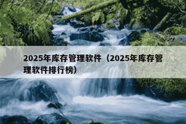 2025年库存管理软件（2025年库存管理软件排行榜）
