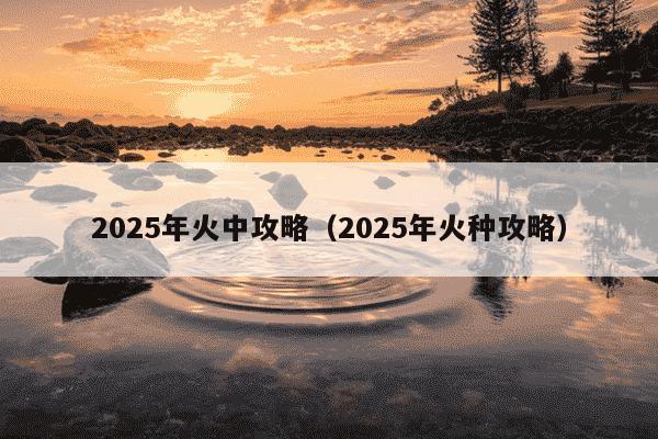2025年火中攻略（2025年火种攻略）