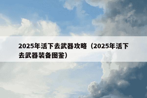 2025年活下去武器攻略（2025年活下去武器装备图鉴）