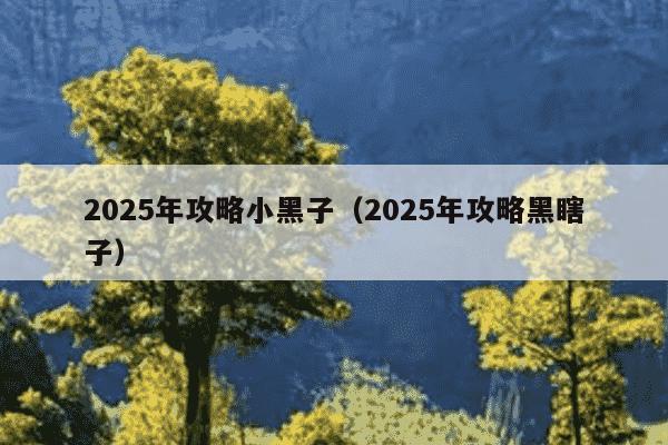 2025年攻略小黑子（2025年攻略黑瞎子）