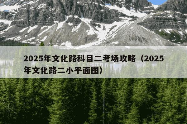2025年文化路科目二考场攻略（2025年文化路二小平面图）