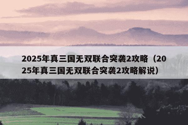 2025年真三国无双联合突袭2攻略（2025年真三国无双联合突袭2攻略解说）